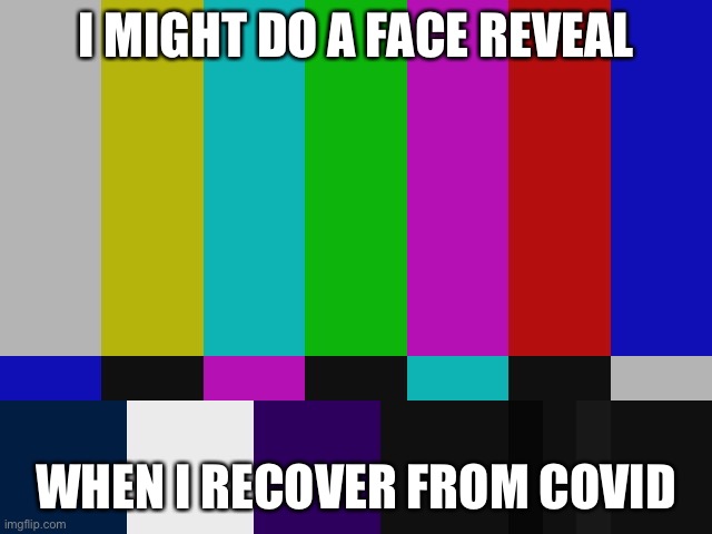 test pattern | I MIGHT DO A FACE REVEAL; WHEN I RECOVER FROM COVID | image tagged in test pattern | made w/ Imgflip meme maker