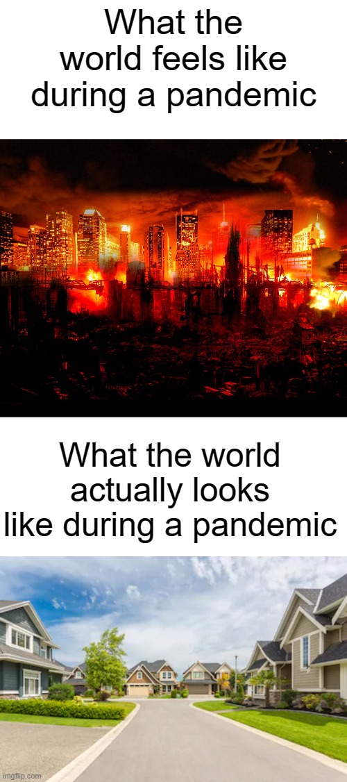 What the world feels like during a pandemic; What the world actually looks like during a pandemic | image tagged in coronavirus,apocalypse | made w/ Imgflip meme maker