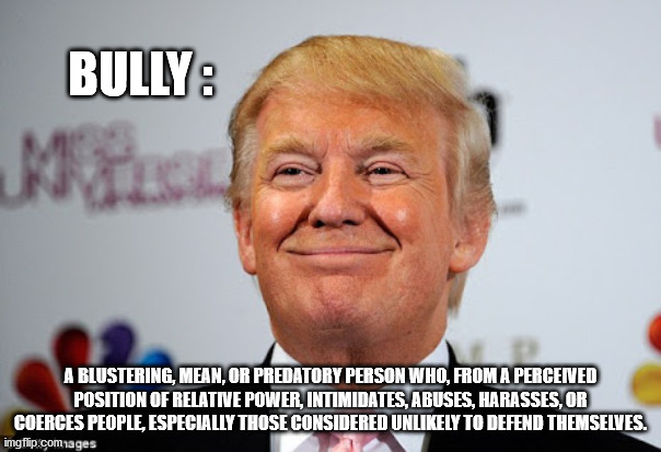 TRUMP |  BULLY :; A BLUSTERING, MEAN, OR PREDATORY PERSON WHO, FROM A PERCEIVED POSITION OF RELATIVE POWER, INTIMIDATES, ABUSES, HARASSES, OR COERCES PEOPLE, ESPECIALLY THOSE CONSIDERED UNLIKELY TO DEFEND THEMSELVES. | image tagged in donald trump approves | made w/ Imgflip meme maker