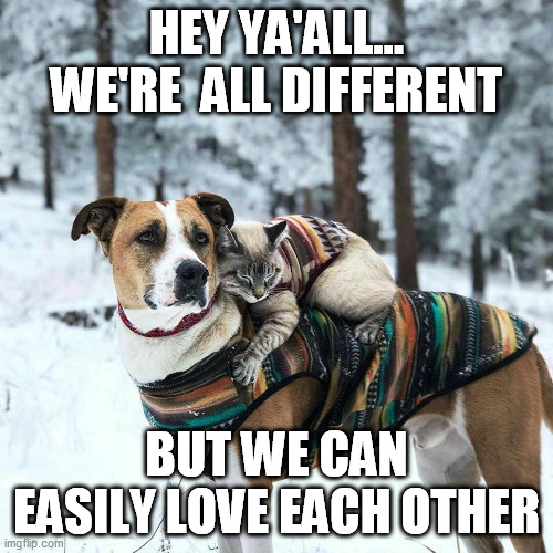 Easy to love your brothers and sisters | HEY YA'ALL... WE'RE  ALL DIFFERENT; BUT WE CAN EASILY LOVE EACH OTHER | image tagged in love | made w/ Imgflip meme maker
