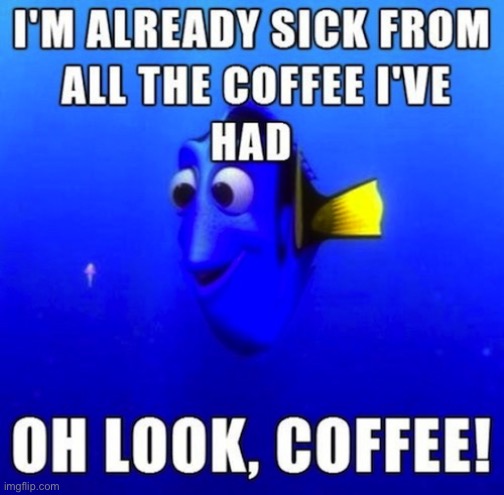 J | image tagged in stupid,dory,nemo | made w/ Imgflip meme maker