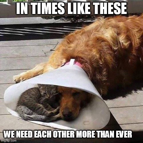 We need each other more than ever | IN TIMES LIKE THESE; WE NEED EACH OTHER MORE THAN EVER | image tagged in hard times | made w/ Imgflip meme maker