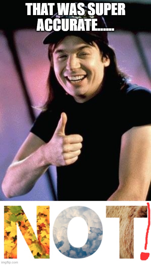 THAT WAS SUPER ACCURATE...... | image tagged in wayne's world | made w/ Imgflip meme maker