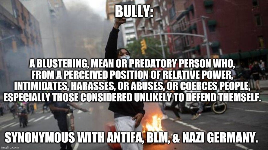 BULLY: A BLUSTERING, MEAN OR PREDATORY PERSON WHO, FROM A PERCEIVED POSITION OF RELATIVE POWER, INTIMIDATES, HARASSES, OR ABUSES, OR COERCES | made w/ Imgflip meme maker