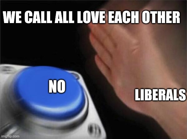 Blank Nut Button Meme | WE CALL ALL LOVE EACH OTHER LIBERALS NO | image tagged in memes,blank nut button | made w/ Imgflip meme maker