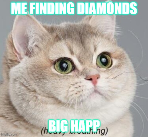 Heavy Breathing Cat | ME FINDING DIAMONDS; BIG HAPP | image tagged in memes,heavy breathing cat | made w/ Imgflip meme maker