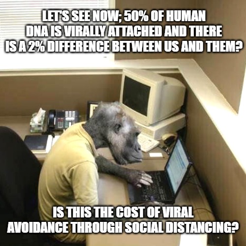 Monkey Business | LET'S SEE NOW; 50% OF HUMAN DNA IS VIRALLY ATTACHED AND THERE IS A 2% DIFFERENCE BETWEEN US AND THEM? IS THIS THE COST OF VIRAL AVOIDANCE THROUGH SOCIAL DISTANCING? | image tagged in memes,monkey business | made w/ Imgflip meme maker