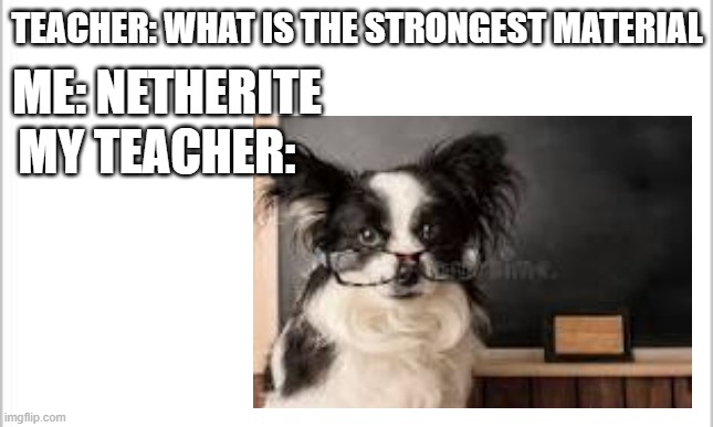 TEACHER: WHAT IS THE STRONGEST MATERIAL; ME: NETHERITE; MY TEACHER: | image tagged in doggo with glasses | made w/ Imgflip meme maker