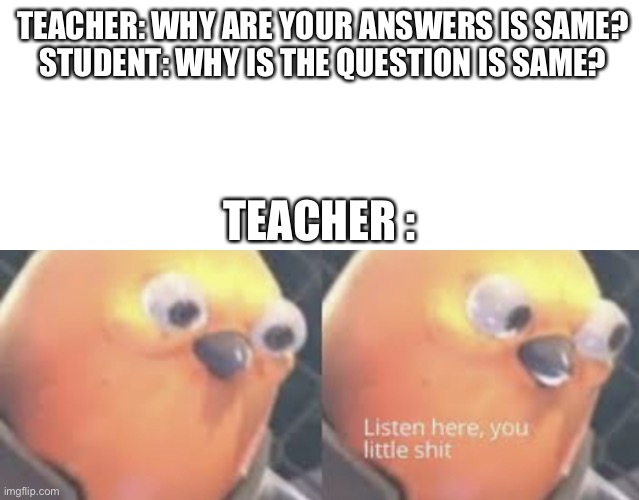 TEACHER: WHY ARE YOUR ANSWERS IS SAME?
STUDENT: WHY IS THE QUESTION IS SAME? TEACHER : | image tagged in listen here you little shit bird | made w/ Imgflip meme maker