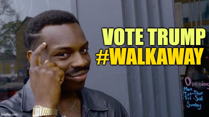 Roll Safe Think About It Meme | VOTE TRUMP #WALKAWAY | image tagged in memes,roll safe think about it | made w/ Imgflip meme maker
