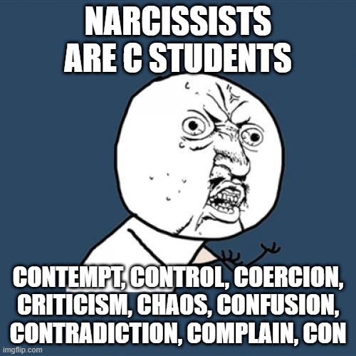 Y U No | NARCISSISTS ARE C STUDENTS; CONTEMPT, CONTROL, COERCION, CRITICISM, CHAOS, CONFUSION, CONTRADICTION, COMPLAIN, CON | image tagged in memes,y u no | made w/ Imgflip meme maker