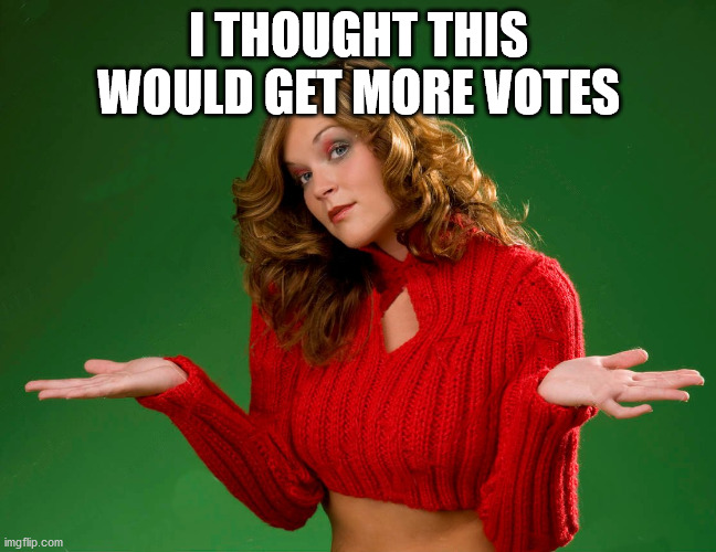 indecision | I THOUGHT THIS WOULD GET MORE VOTES | image tagged in indecision | made w/ Imgflip meme maker
