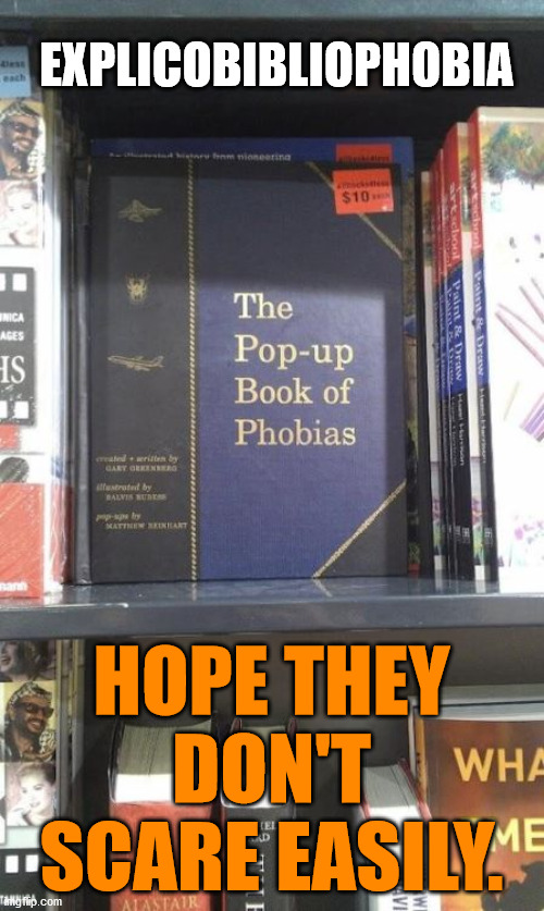 The Pop-Up Book of Phobias | EXPLICOBIBLIOPHOBIA; HOPE THEY DON'T SCARE EASILY. | image tagged in the pop-up book of phobias | made w/ Imgflip meme maker