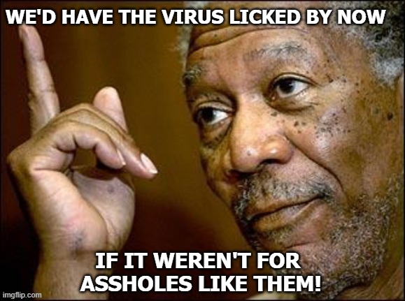 WE'D HAVE THE VIRUS LICKED BY NOW IF IT WEREN'T FOR  ASSHOLES LIKE THEM! | made w/ Imgflip meme maker