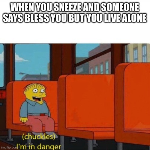 Chuckles, I’m in danger | WHEN YOU SNEEZE AND SOMEONE SAYS BLESS YOU BUT YOU LIVE ALONE | image tagged in chuckles im in danger | made w/ Imgflip meme maker