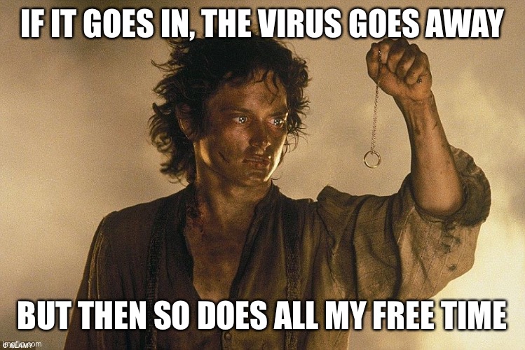 Frodo Don't Know |  IF IT GOES IN, THE VIRUS GOES AWAY; BUT THEN SO DOES ALL MY FREE TIME | image tagged in funny | made w/ Imgflip meme maker