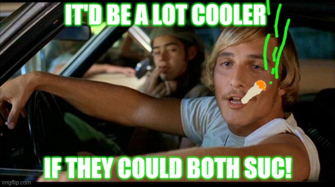 It'd be a lot cooler... | IT'D BE A LOT COOLER IF THEY COULD BOTH SUC! | image tagged in it'd be a lot cooler | made w/ Imgflip meme maker