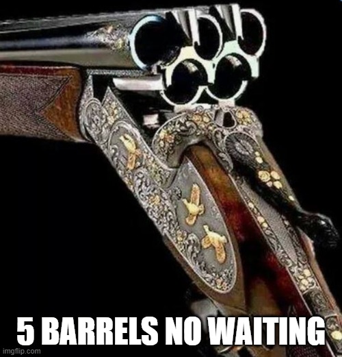 5 Barrel Shotgun | 5 BARRELS NO WAITING | image tagged in shotgun | made w/ Imgflip meme maker