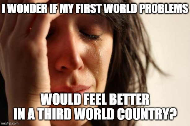 First World Problems | I WONDER IF MY FIRST WORLD PROBLEMS; WOULD FEEL BETTER IN A THIRD WORLD COUNTRY? | image tagged in memes,first world problems,third world,feelings | made w/ Imgflip meme maker