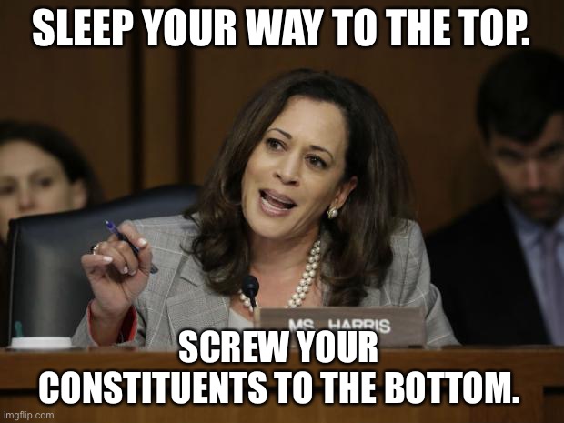 Kamala’s career ladder is connected to a bed | SLEEP YOUR WAY TO THE TOP. SCREW YOUR CONSTITUENTS TO THE BOTTOM. | image tagged in kamala harris,memes,bed,politics,sleep,job | made w/ Imgflip meme maker