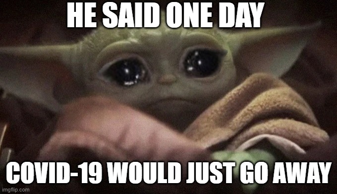 Crying Baby Yoda | HE SAID ONE DAY; COVID-19 WOULD JUST GO AWAY | image tagged in crying baby yoda,baby yoda cry,coronavirus,covid-19,covidiots,change my mind | made w/ Imgflip meme maker