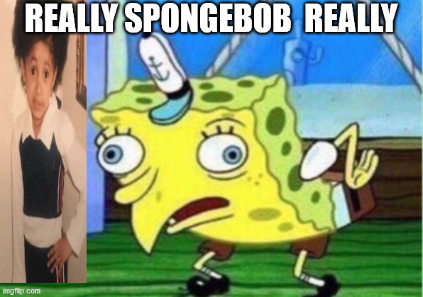 really | REALLY SPONGEBOB  REALLY | image tagged in memes,mocking spongebob | made w/ Imgflip meme maker