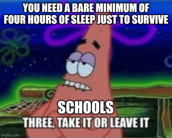Three, Take it or leave it | YOU NEED A BARE MINIMUM OF FOUR HOURS OF SLEEP JUST TO SURVIVE; SCHOOLS | image tagged in three take it or leave it | made w/ Imgflip meme maker