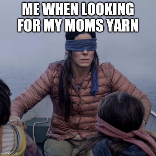 Bird Box | ME WHEN LOOKING FOR MY MOMS YARN | image tagged in memes,bird box | made w/ Imgflip meme maker