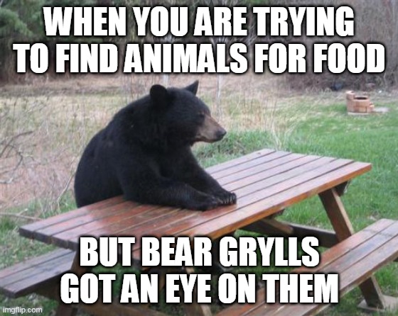 Bad Luck Bear | WHEN YOU ARE TRYING TO FIND ANIMALS FOR FOOD; BUT BEAR GRYLLS GOT AN EYE ON THEM | image tagged in memes,bad luck bear | made w/ Imgflip meme maker