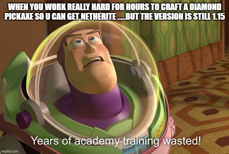 years of academy training wasted | WHEN YOU WORK REALLY HARD FOR HOURS TO CRAFT A DIAMOND PICKAXE SO U CAN GET NETHERITE .....BUT THE VERSION IS STILL 1.15 | image tagged in years of academy training wasted | made w/ Imgflip meme maker