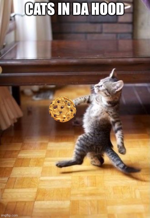 Cool Cat Stroll Meme | CATS IN DA HOOD | image tagged in memes,cool cat stroll | made w/ Imgflip meme maker