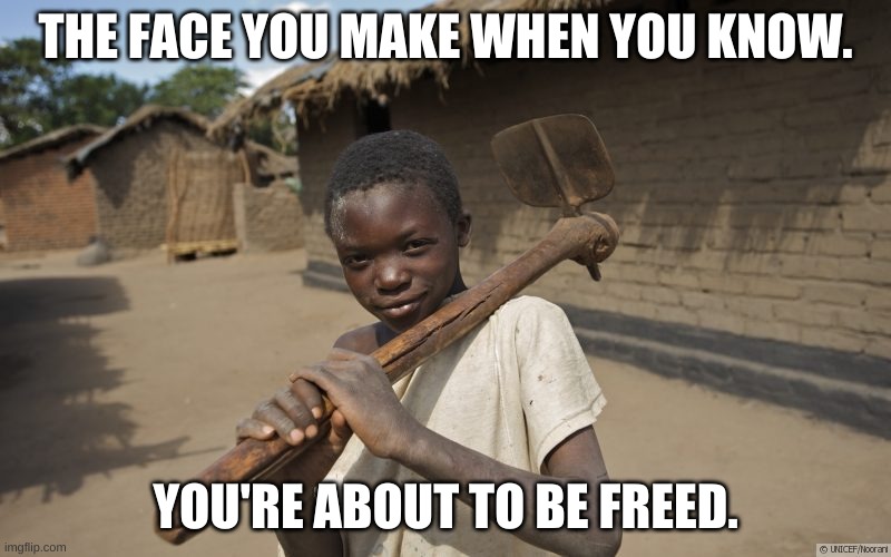 THE FACE YOU MAKE WHEN YOU KNOW. YOU'RE ABOUT TO BE FREED. | image tagged in freedom | made w/ Imgflip meme maker