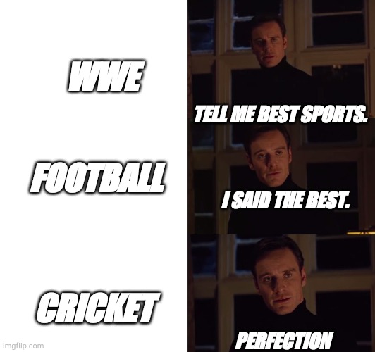 Memes | WWE; TELL ME BEST SPORTS. FOOTBALL; I SAID THE BEST. CRICKET; PERFECTION | image tagged in perfection | made w/ Imgflip meme maker