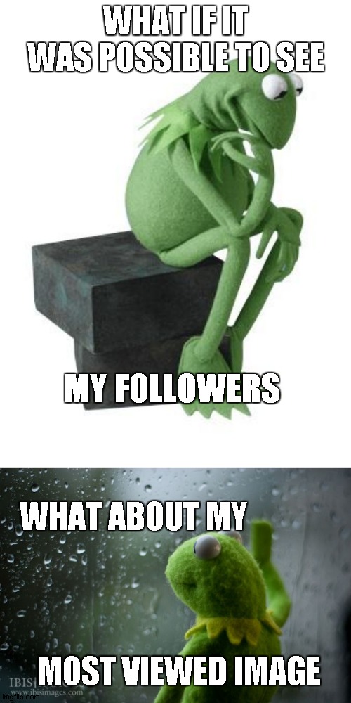 its also in the imgflip stream right here https://imgflip.com/i/4cf6n6 | WHAT IF IT WAS POSSIBLE TO SEE; MY FOLLOWERS; WHAT ABOUT MY; MOST VIEWED IMAGE | image tagged in philosophy kermit,kermit window | made w/ Imgflip meme maker