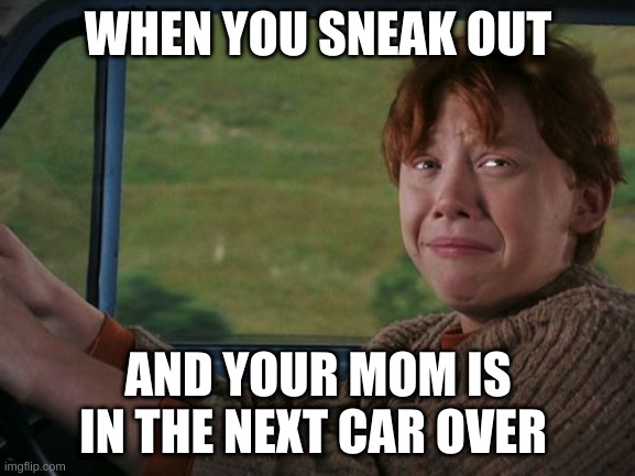 Ron Weasley flying car | WHEN YOU SNEAK OUT; AND YOUR MOM IS IN THE NEXT CAR OVER | image tagged in ron weasley flying car,snuck out,caught | made w/ Imgflip meme maker