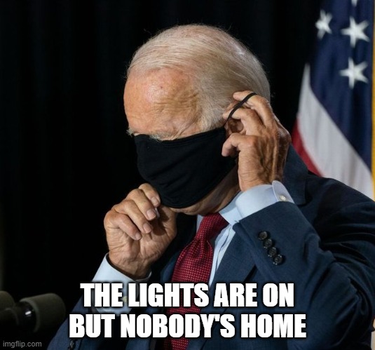Biden mask | THE LIGHTS ARE ON
BUT NOBODY'S HOME | image tagged in biden mask | made w/ Imgflip meme maker
