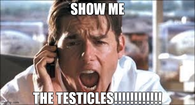 Show me the money | SHOW ME THE TESTICLES!!!!!!!!!!!! | image tagged in show me the money | made w/ Imgflip meme maker