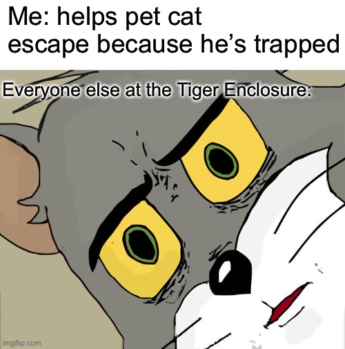 Argh! Tiger!!! | Me: helps pet cat escape because he’s trapped; Everyone else at the Tiger Enclosure: | image tagged in memes,unsettled tom,tiger,isaac_laugh | made w/ Imgflip meme maker