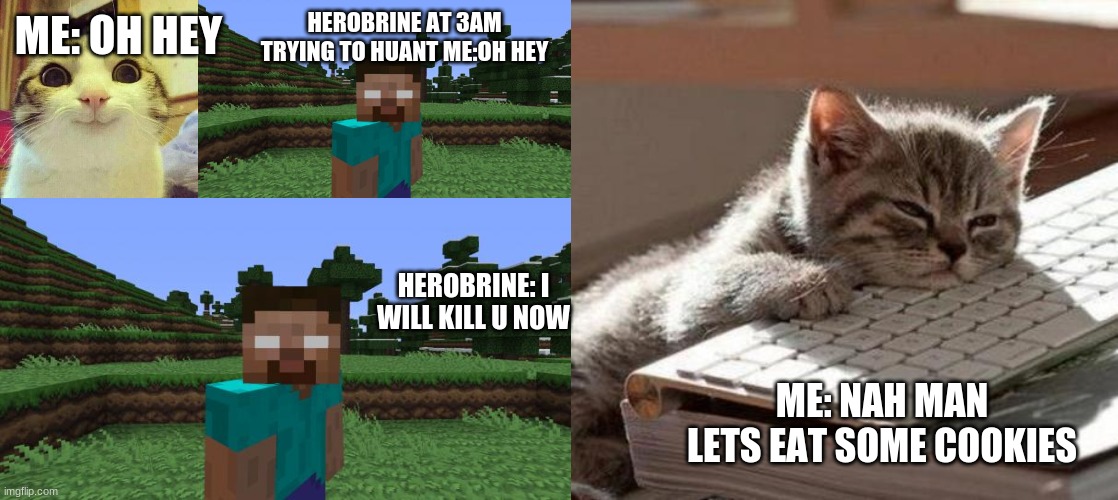 HEROBRINE AT 3AM TRYING TO HUANT ME:OH HEY; ME: OH HEY; HEROBRINE: I WILL KILL U NOW; ME: NAH MAN LETS EAT SOME COOKIES | image tagged in well hello there,tired cat,herobrine | made w/ Imgflip meme maker