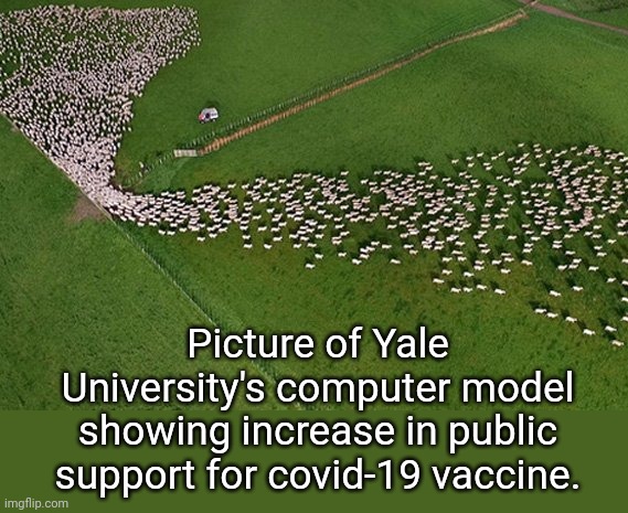 Take your baaaahktheen! | Picture of Yale University's computer model showing increase in public support for covid-19 vaccine. | image tagged in coronavirus,vaccines,sheeple,plandemic,billgates,covidiots | made w/ Imgflip meme maker