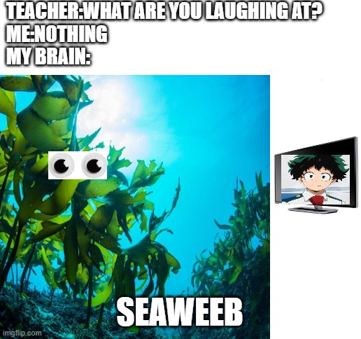 what are you laughing at? my meme? | TEACHER:WHAT ARE YOU LAUGHING AT?
ME:NOTHING
MY BRAIN:; SEAWEEB | image tagged in blank white template,anime | made w/ Imgflip meme maker