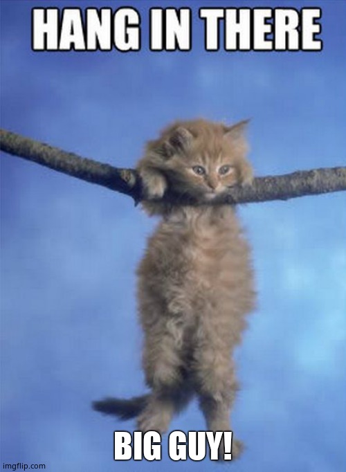 Hang in there Kitty | BIG GUY! | image tagged in hang in there kitty | made w/ Imgflip meme maker