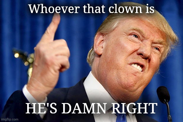 Donald Trump | Whoever that clown is HE'S DAMN RIGHT | image tagged in donald trump | made w/ Imgflip meme maker