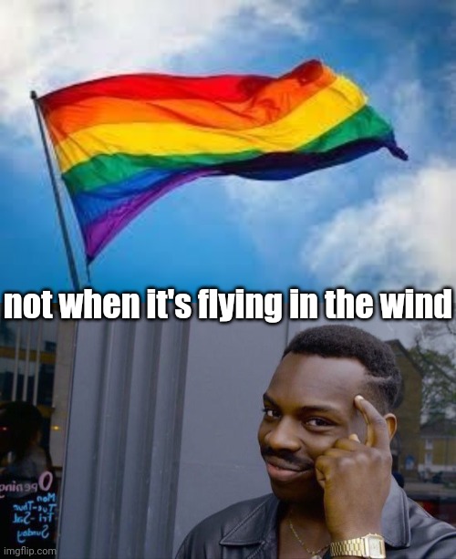 not when it's flying in the wind | image tagged in rainbow flag,memes,roll safe think about it | made w/ Imgflip meme maker