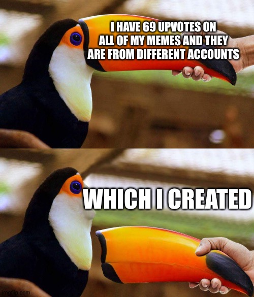 not true lol | I HAVE 69 UPVOTES ON ALL OF MY MEMES AND THEY ARE FROM DIFFERENT ACCOUNTS; WHICH I CREATED | image tagged in toucan beak,upvotes,memes,sad | made w/ Imgflip meme maker