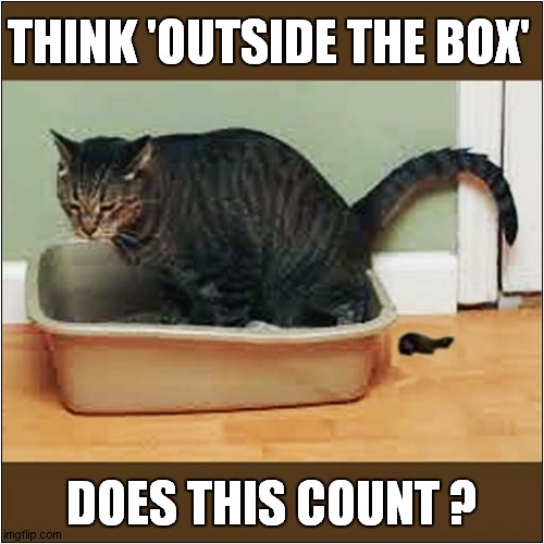 Cat Deep In Thought | THINK 'OUTSIDE THE BOX'; DOES THIS COUNT ? | image tagged in cats,think outside the box | made w/ Imgflip meme maker