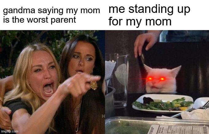 Woman Yelling At Cat | gandma saying my mom
is the worst parent; me standing up
for my mom | image tagged in memes,woman yelling at cat | made w/ Imgflip meme maker
