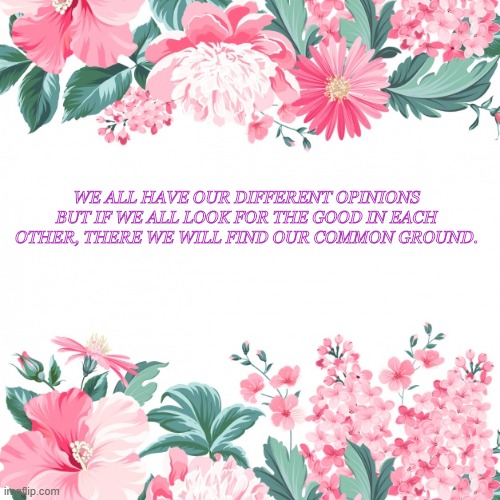common ground | WE ALL HAVE OUR DIFFERENT OPINIONS BUT IF WE ALL LOOK FOR THE GOOD IN EACH OTHER, THERE WE WILL FIND OUR COMMON GROUND. | image tagged in pink flowers | made w/ Imgflip meme maker