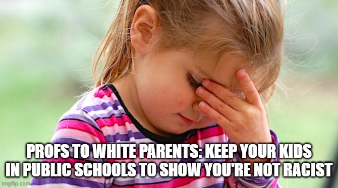 GOV. Schools | PROFS TO WHITE PARENTS: KEEP YOUR KIDS IN PUBLIC SCHOOLS TO SHOW YOU'RE NOT RACIST | image tagged in schools | made w/ Imgflip meme maker