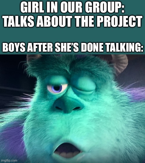 Confused sully | GIRL IN OUR GROUP: TALKS ABOUT THE PROJECT; BOYS AFTER SHE’S DONE TALKING: | image tagged in confused sully,memes,fun,school,boys vs girls | made w/ Imgflip meme maker